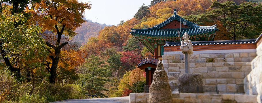 보현사 가을전경